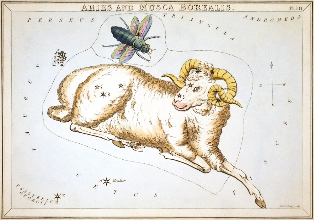 Sidney_Hall_-_Urania's_Mirror_-_Aries_and_Musca_Borealis 1825