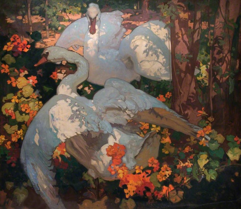 Two white swans intertwined within the colourful shades and nuances in nature; a scene inspiring gentleness and romance, and a fairy tale mystical emotion.