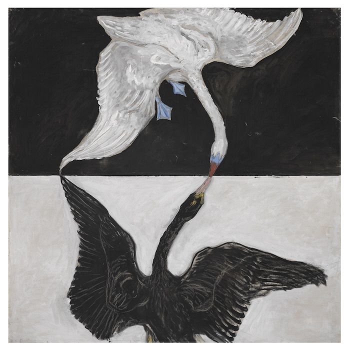 A black and white painting of two swans, one white and one black, who touch to symbolize the union of opposites.