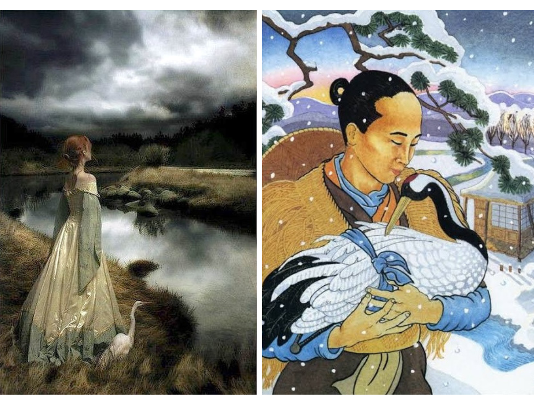 Beautiful image combining two paintings; one is the crane maiden near her lake longing to go back to nature, and the other is a man holding gently an injured crane, wanting to take care of it, based on an Asian tale.