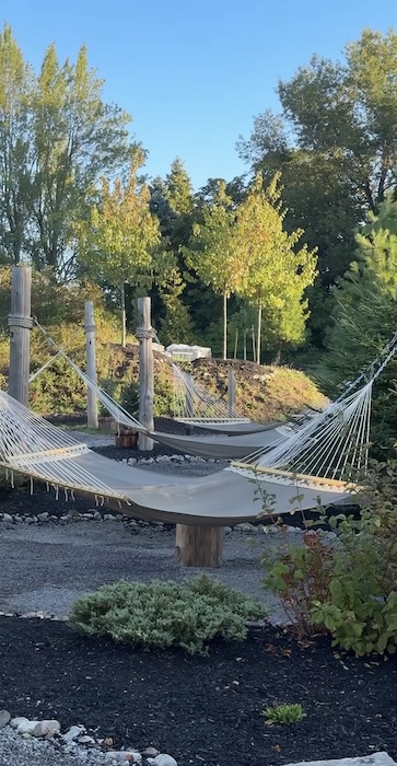 Outdoor hammocks in nature surrounded by lush green and high trees.
