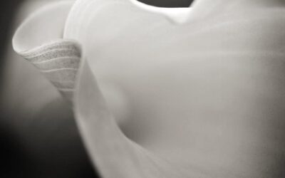 How To Awaken The Sensual Self