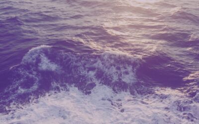 {poem + story} the night we swam in the sea.