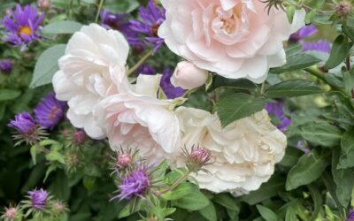 You can only love what you appreciate