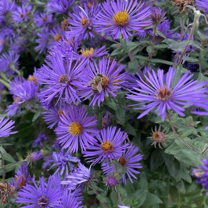 We can only love what we appreciate