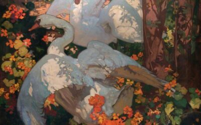 Into the Mystical Worlds of Swan Maidens and Wild Brides