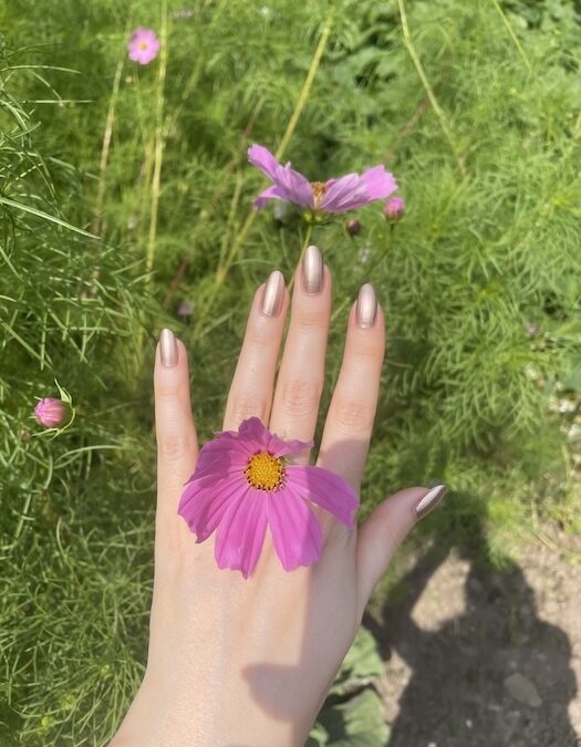 A gentle hand with rose bronze nails is held over green foliage, with a pink cosmos flower resting on the back of the hand. More pink cosmos flowers and sunlight are visible in the background.