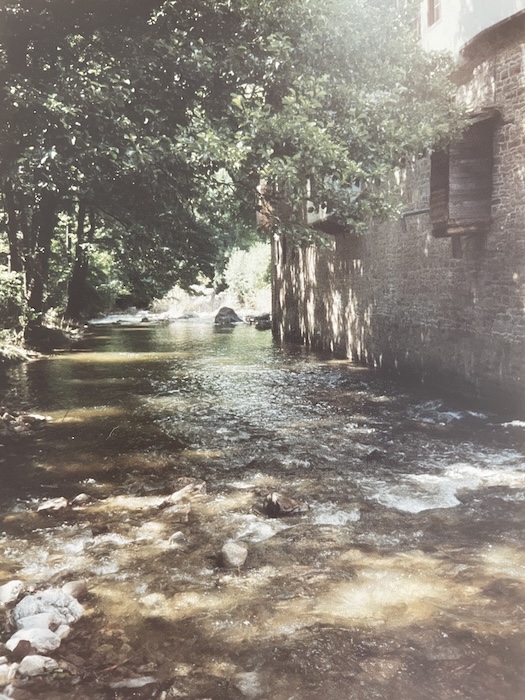 A photograph showing the back stone wall of the Dryanovo Monastery in Bulgaria, with a river flowing and tall trees hanging over the waters.