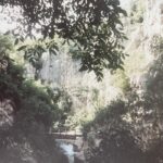A photograph showing the forest behind Dryanovo Monastery in Bulgaria, with a wooden bridge and high hills and mountains and lush greens from trees.