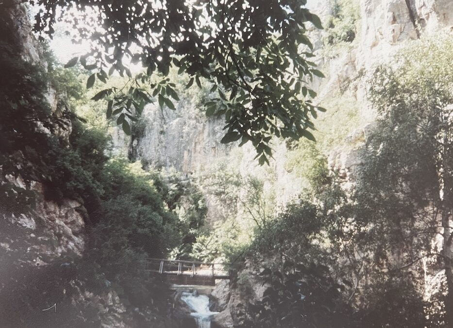 A photograph showing the forest behind Dryanovo Monastery in Bulgaria, with a wooden bridge and high hills and mountains and lush greens from trees.