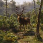 A stag standing and looking directly at the photographer, in the midst of lush green and mossy forest. The scene is mystical and serene.