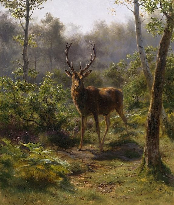 A stag standing and looking directly at the photographer, in the midst of lush green and mossy forest. The scene is mystical and serene.