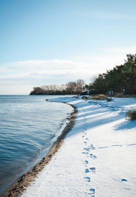 A snowy path near a calm lake, with steps shown in the snow. It is sunny daytime in this winter landscape, and there are trees near the path.